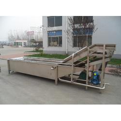 廠家直銷 草莓清洗機 氣泡清洗機 果蔬清洗機 大型食品加工廠使用