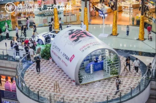 給全民造車,威馬尋找破圈機(jī)會(huì)點(diǎn)