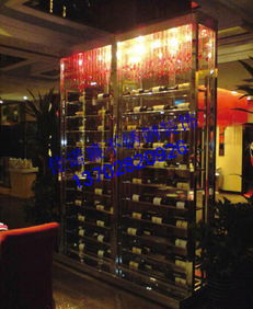 綠色家具 不銹鋼多層展示不銹鋼酒架 藝術(shù)性不銹鋼雙開(kāi)恒溫冷藏柜